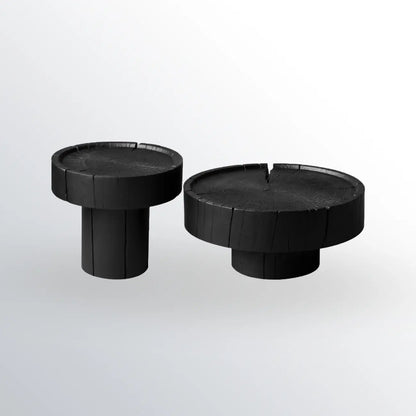 Modern Minimalist Wood Black Coffee Table with Tray Top