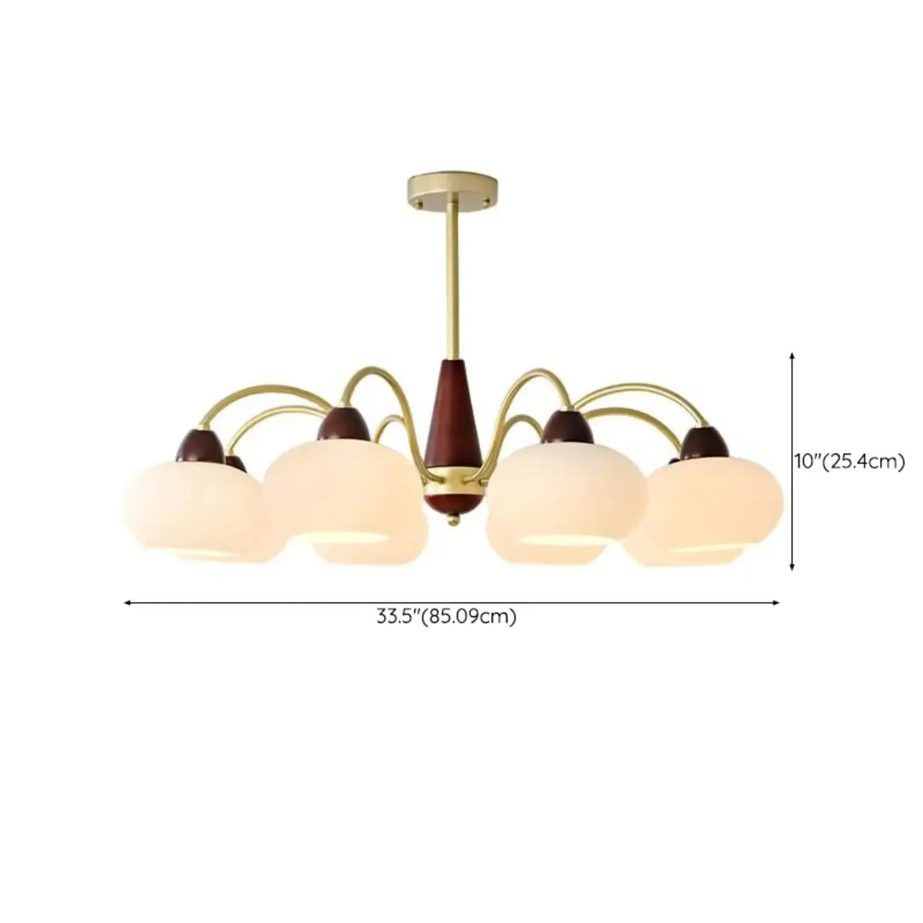 Classic Gold Glass Drum Shade Elegant Chandelier