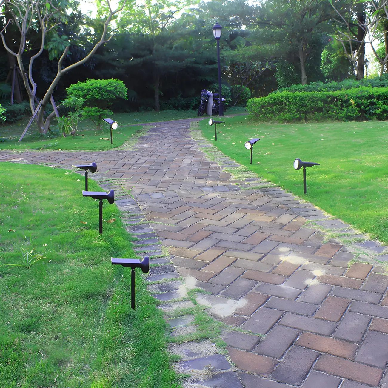 Simple Solar Stake Adjustable Landscape Lighting